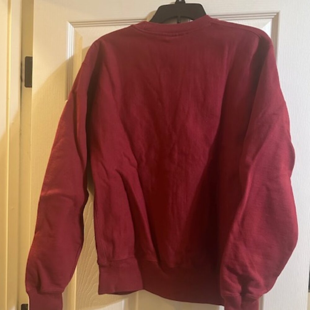 Champion UMASS Sweatshirt NWOT - Picture 2 of 5